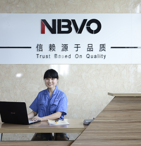 Ningbo NBVO Seiko Bealing Co., Ltd.