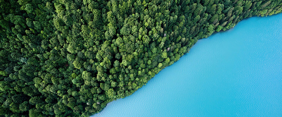 Ningbo NBVO Seiko Bealing Co., Ltd.